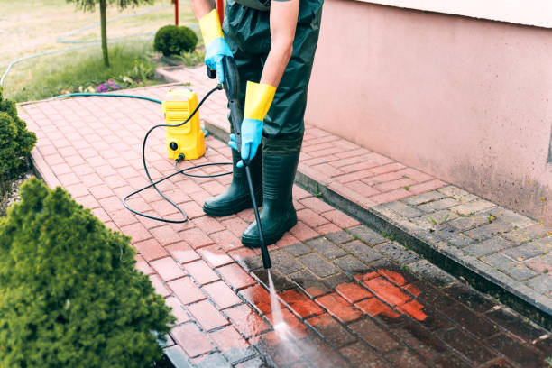 Animal Enclosure Cleaning in Muldrow, OK