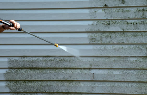 Best Roof Washing  in Muldrow, OK